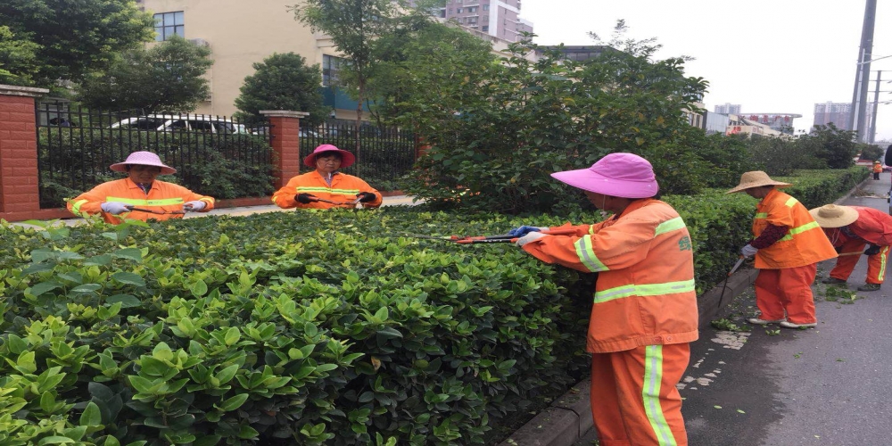 新站區(qū)道路清掃保潔、綠化管養(yǎng)項(xiàng)目